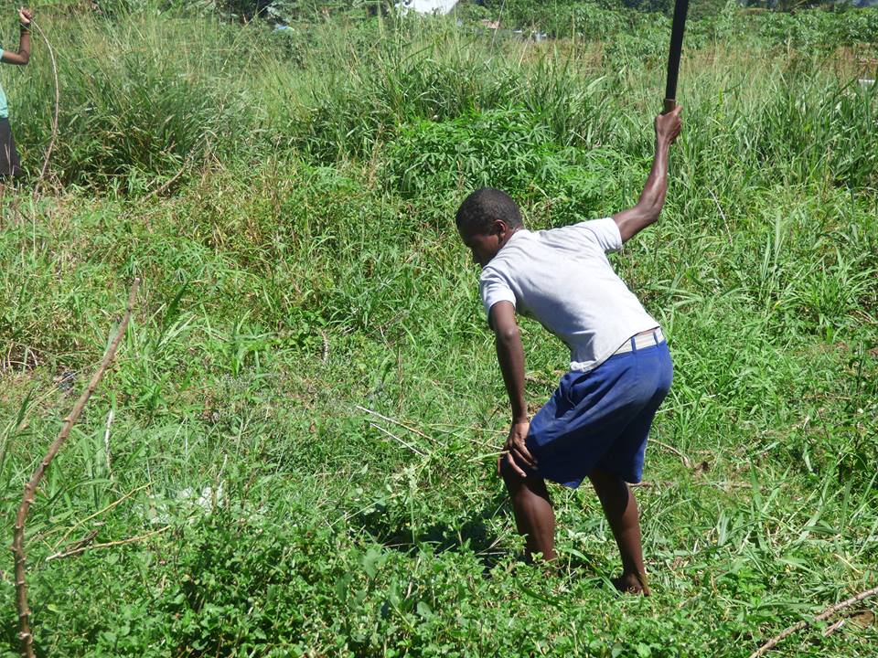 10635838_10154496293370433_7444198032227498938_n